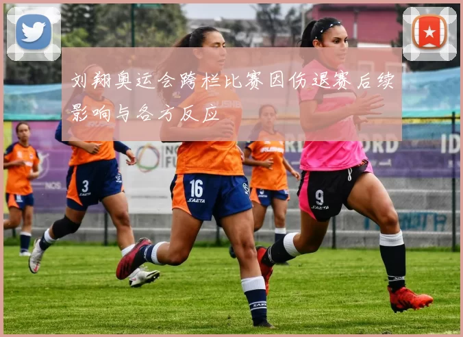 刘翔奥运会跨栏比赛因伤退赛后续影响与各方反应